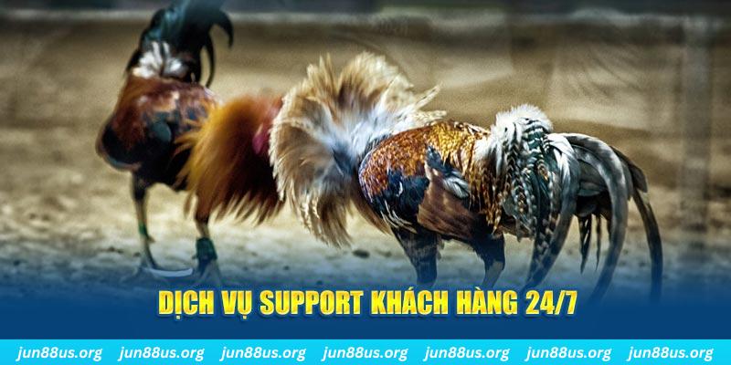 88i game xếp bài trên máy tính