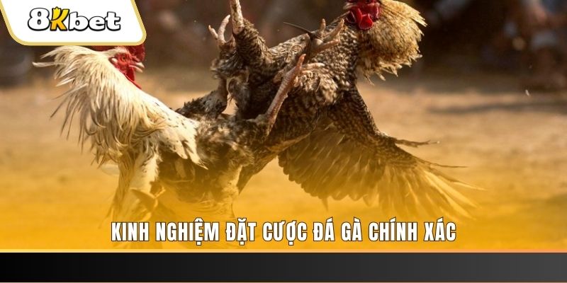 xổ số thứ bảy hàng tuần