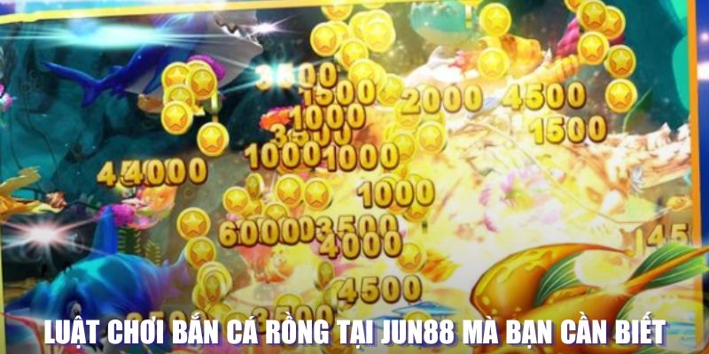 88i xổ số đài hà nội