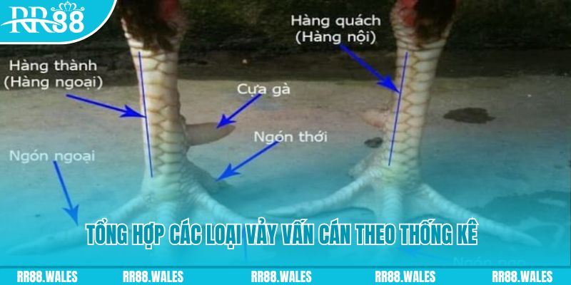 88i casino hồ tràm có cho người việt vào không