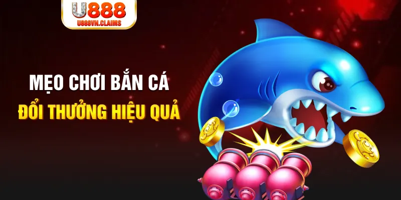 88i gà chọi cam ranh