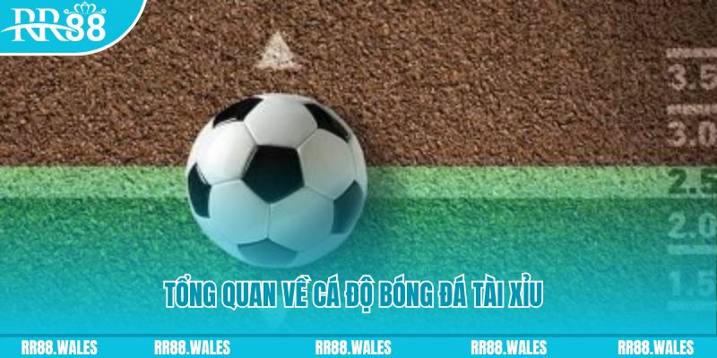 88i đăng nhập roulette online