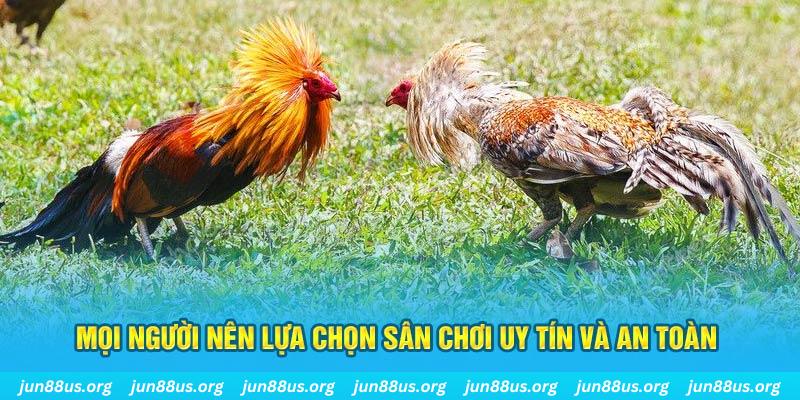 88i Cỡ bảy